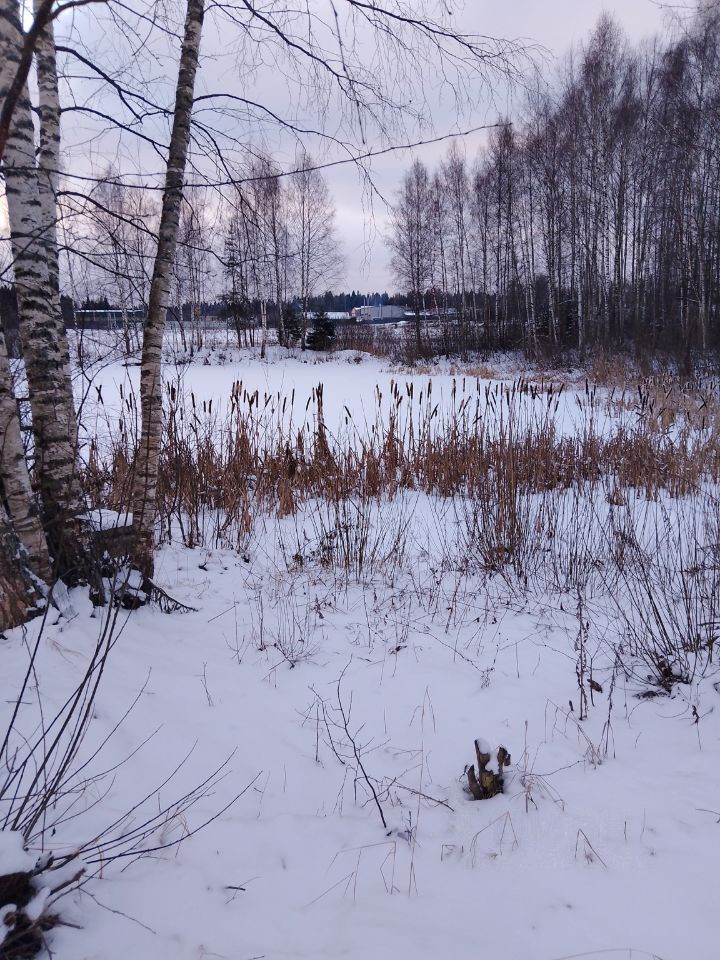 Участок, Мелихово