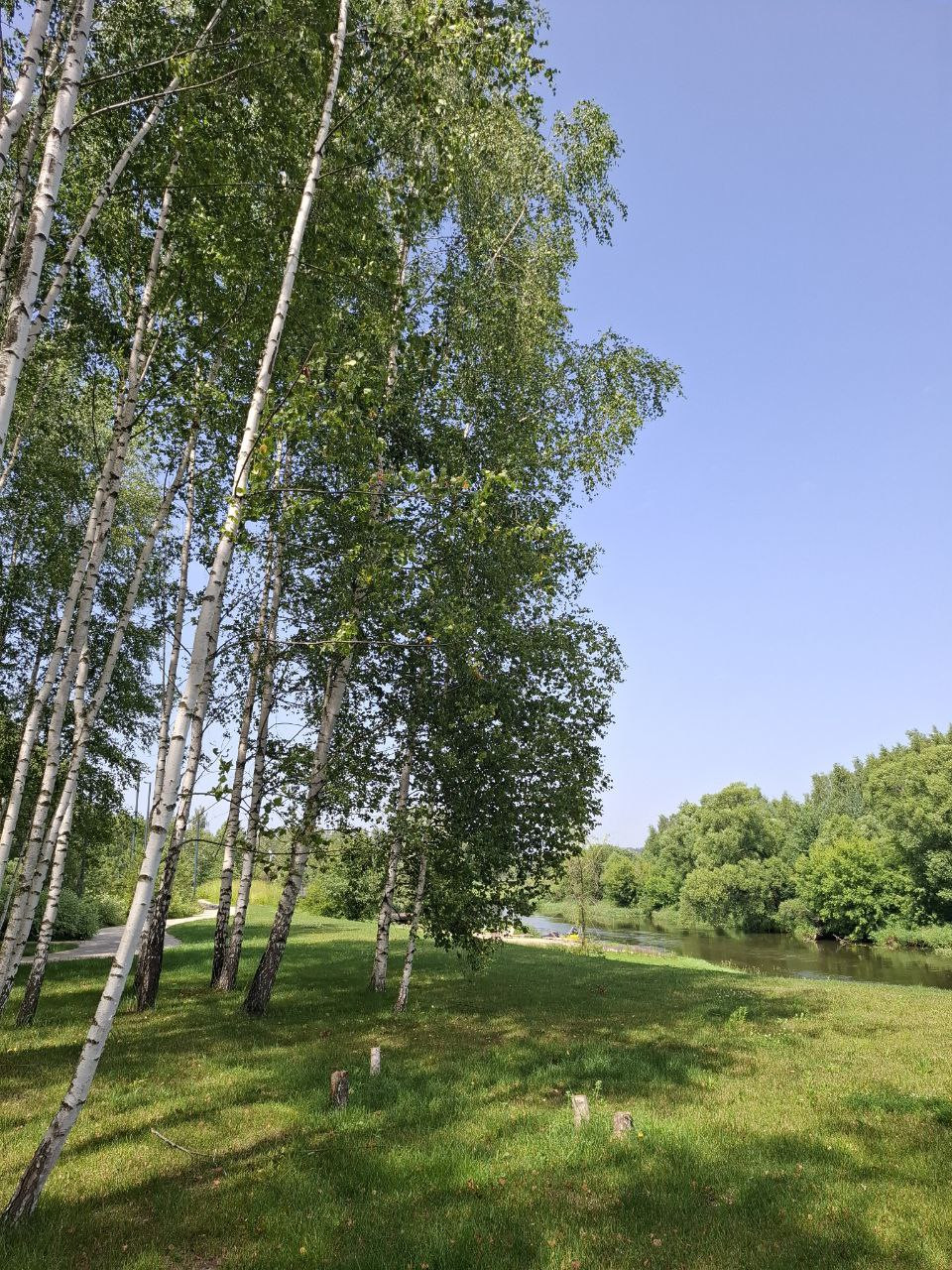 Участок, Красногорск
